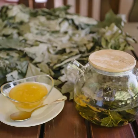 Rubel Aparthotel&spa * Yaremche