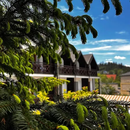 Hotel Rubel Aparthotel&spa Jaremtsche