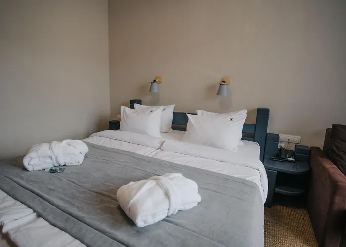 Rubel Aparthotel&spa * Яремча