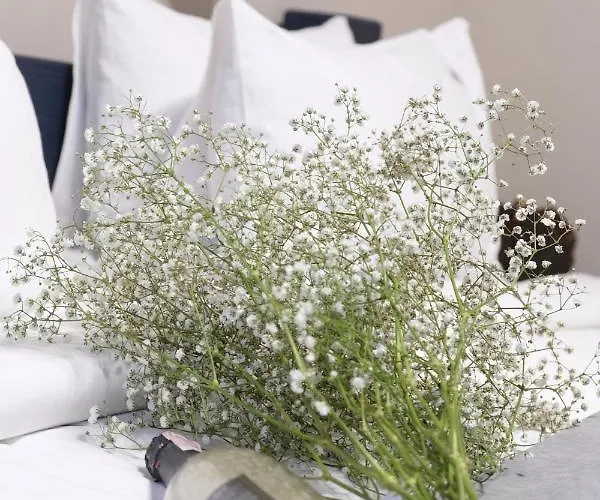 Rubel Aparthotel&spa * Яремча